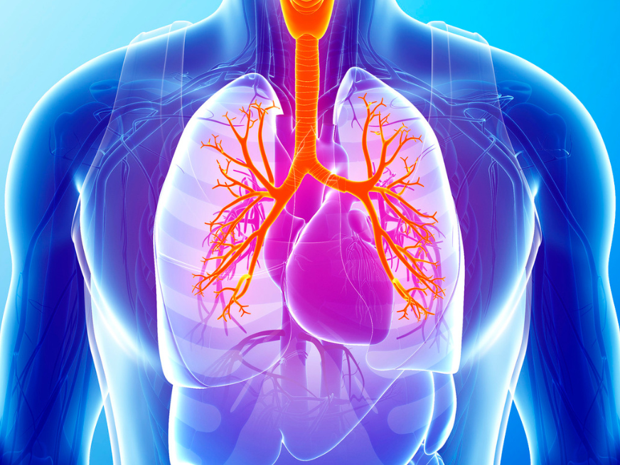 Tromboembolismo pulmonar (TEP) de alto riesgo: ¿Todo está perdido?
