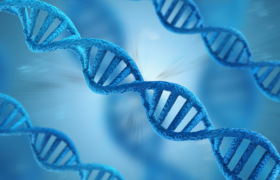 asesoramiento genético en fertilidad