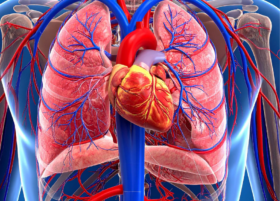 insuficiencia mitral