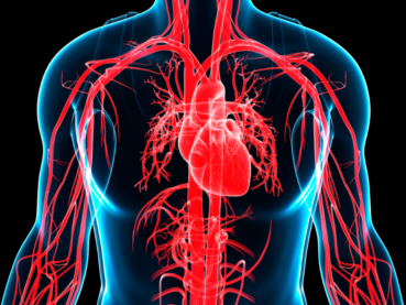 Shock cardiogénico en la era de la revascularización