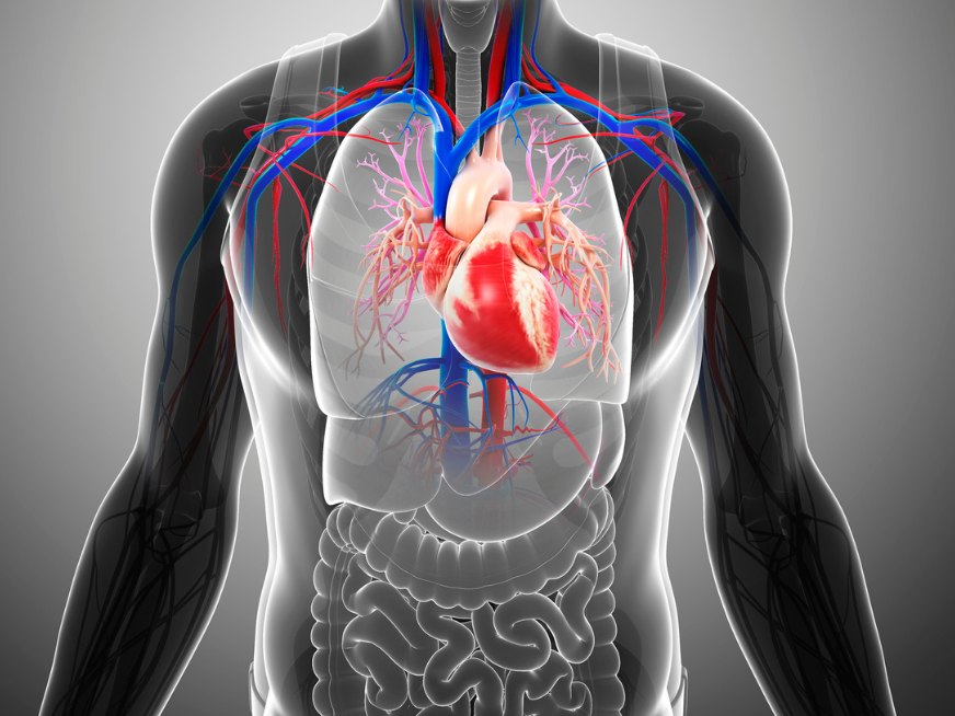 Novedades del ESC Congress 2025, Madrid.