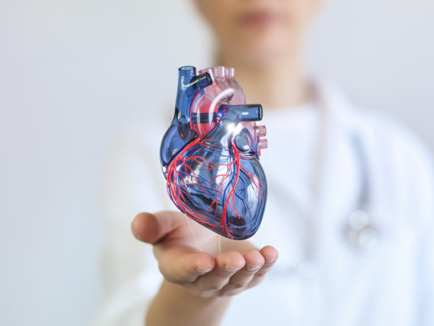 Intersección entre insuficiencia cardíaca y cáncer. Claves para el manejo del paciente cardio-oncológico.